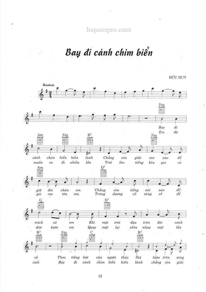 Bay di canh chim bien 01_1024