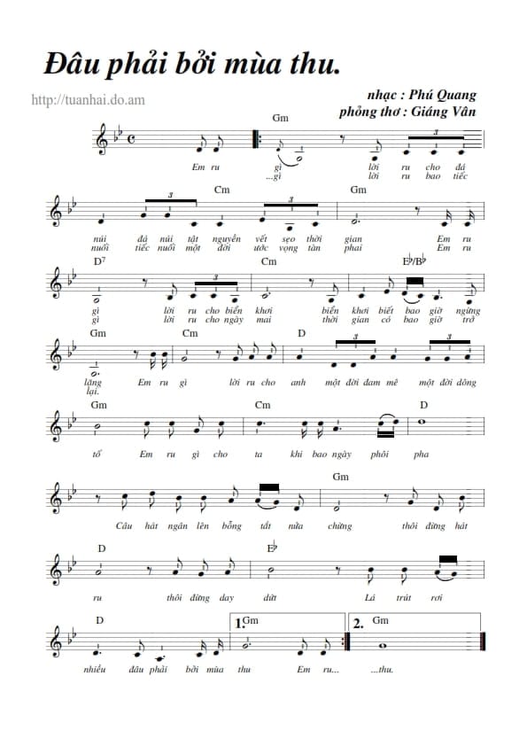 DauphaiboimuathuPhuQuang_001