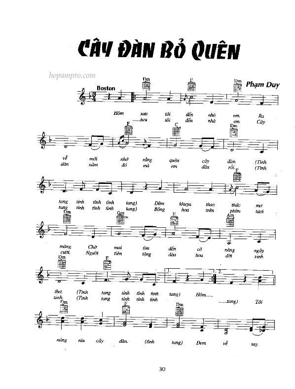 Cay Dan Bo Quen_001