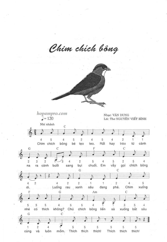 Chim chich bong_001