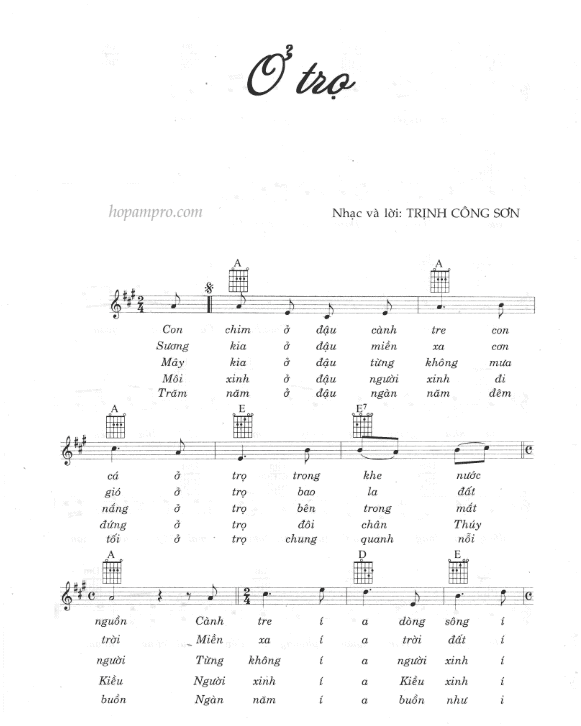 o tro - sheet_001