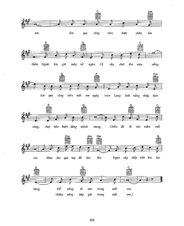 Sheet Nắng thủy tinh